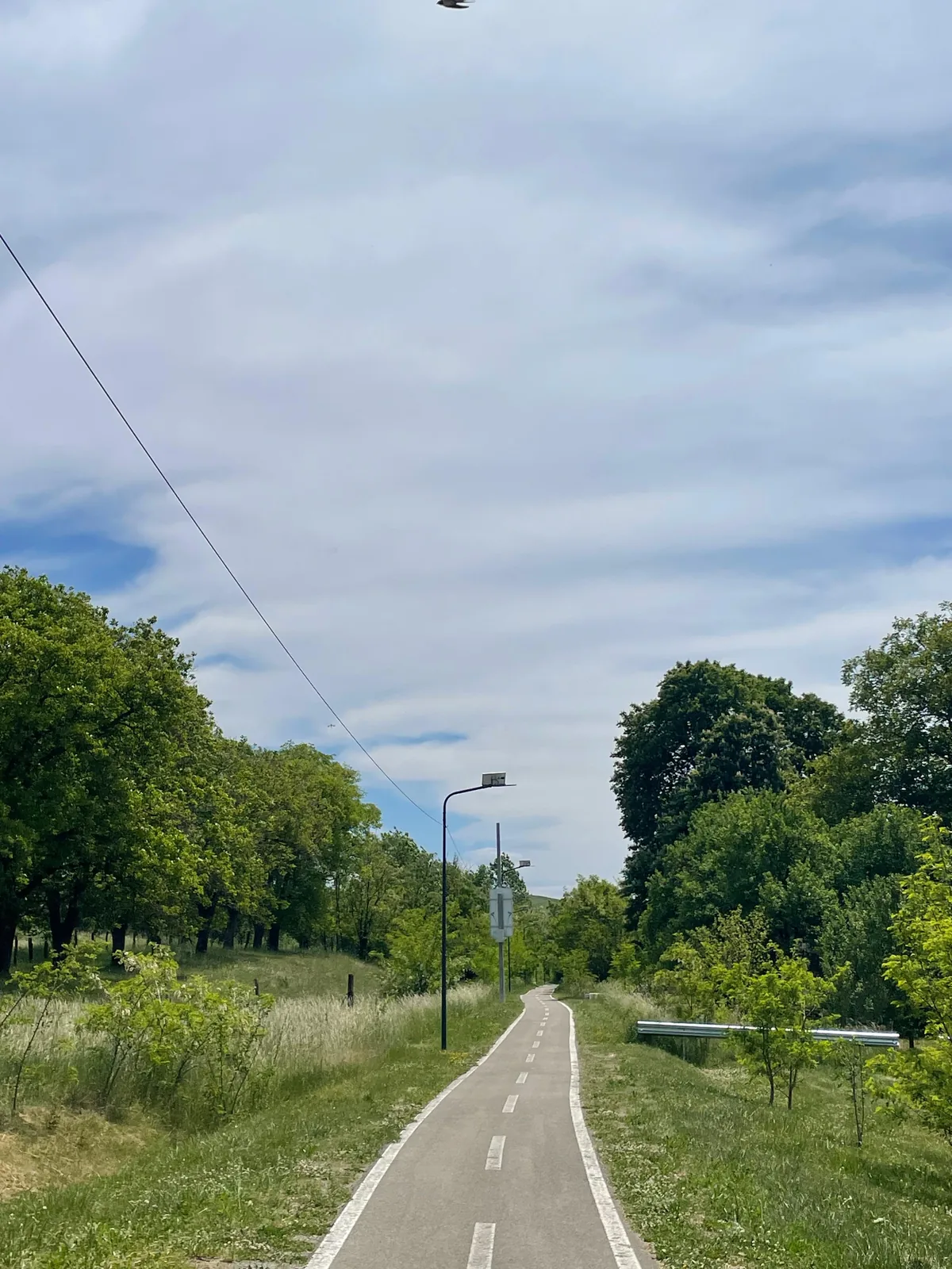 Paved bike path through the fields