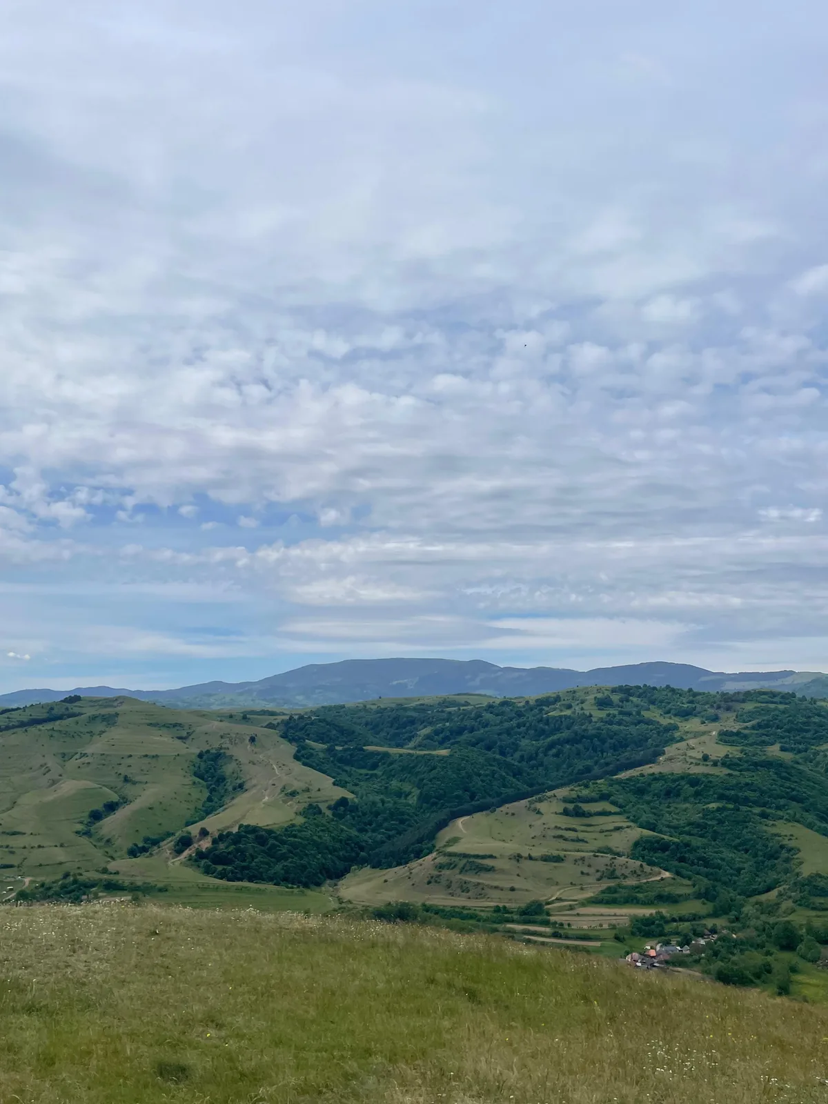 Panorama over the Apuseni hills