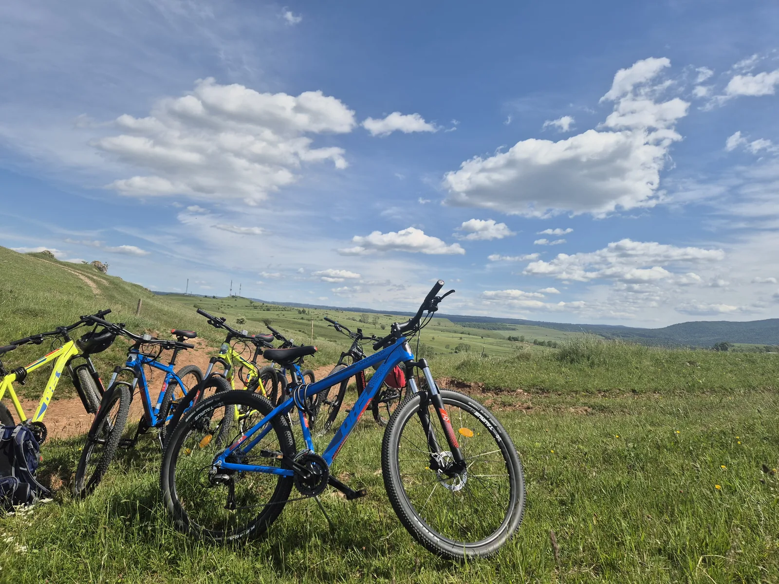 A group of bikes lined up on the hill