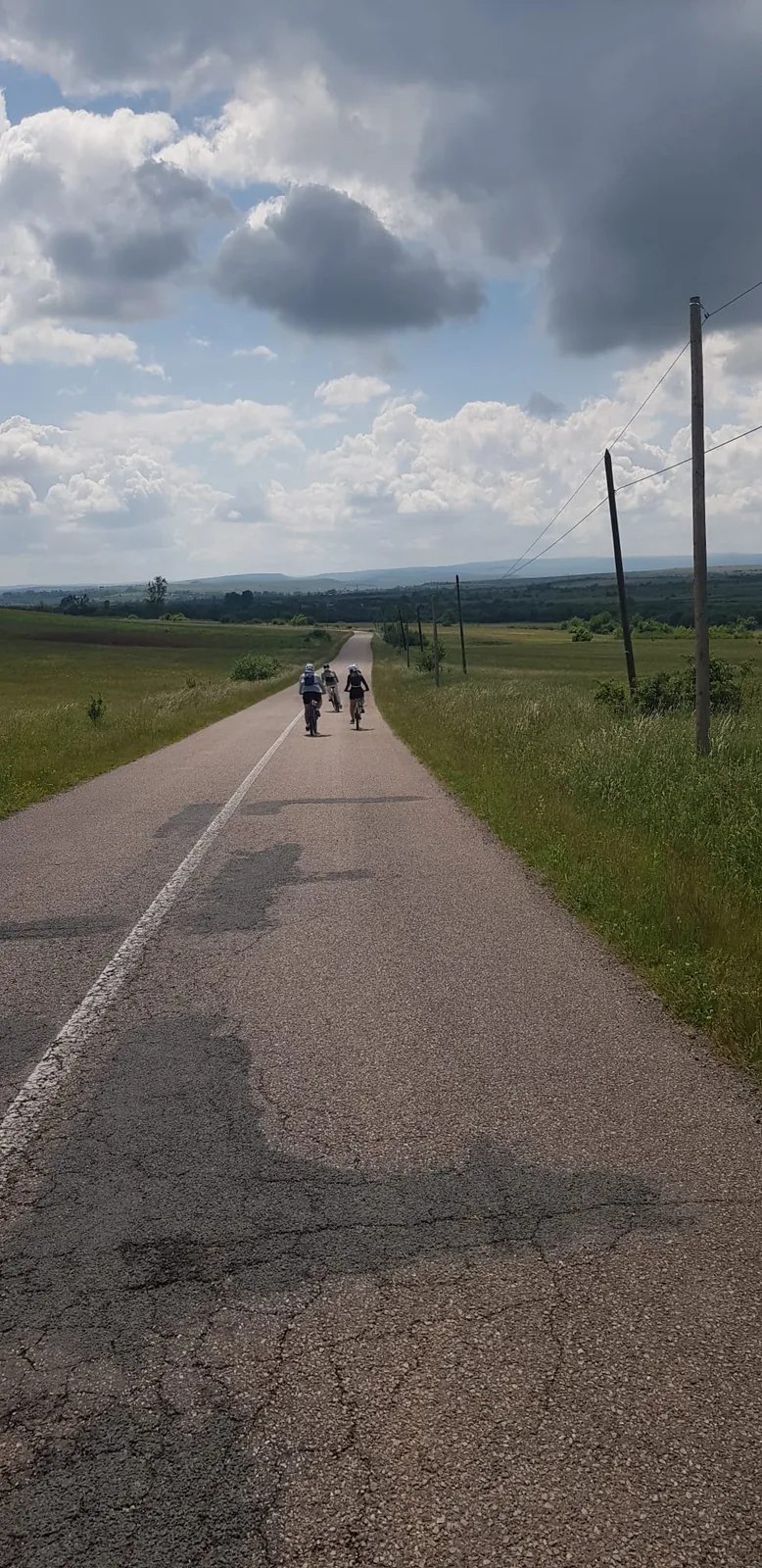 Cyclists on a country road