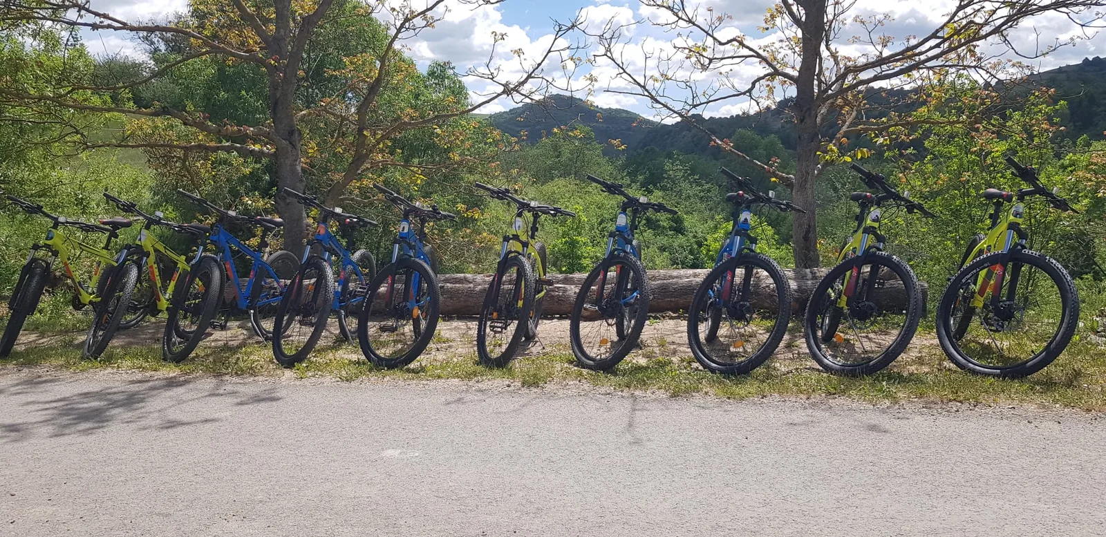 The MTB fleet lined up on the trail