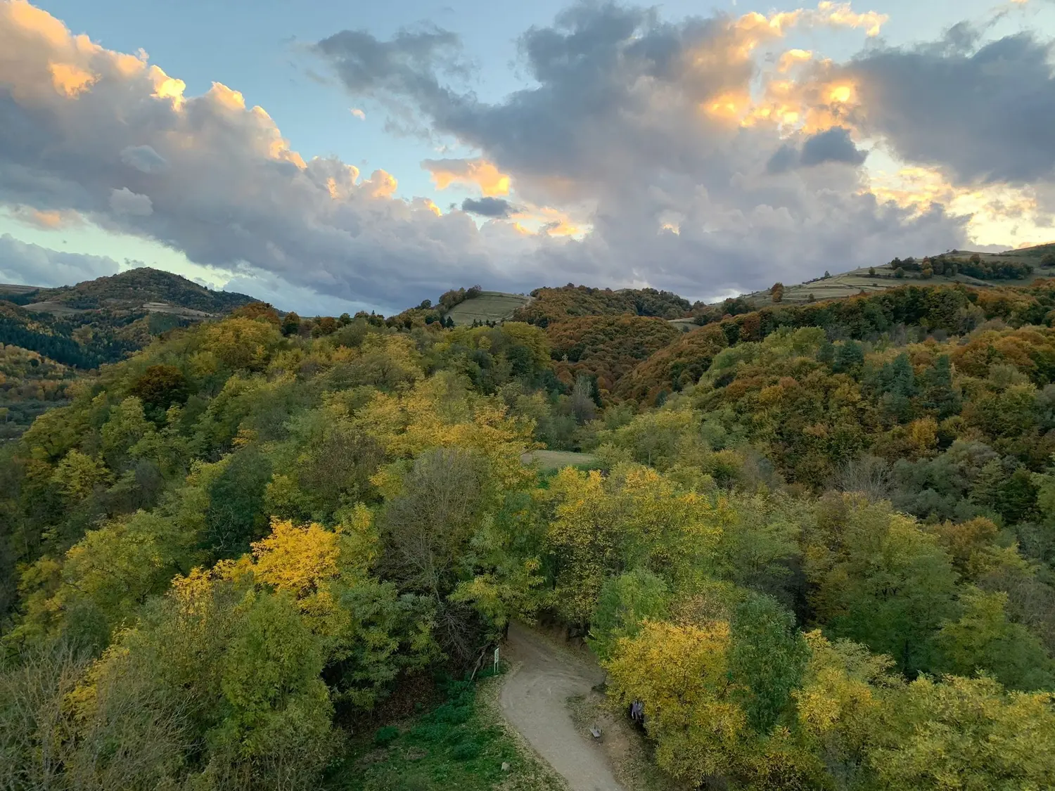 Photo · autumn 1